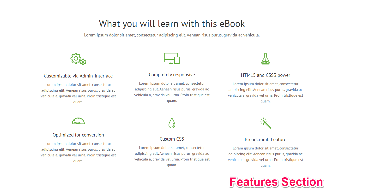 Features Section book landing page