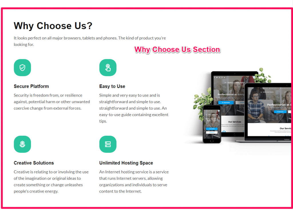 why choose us section