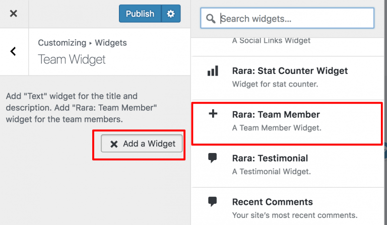 select rara team member widget
