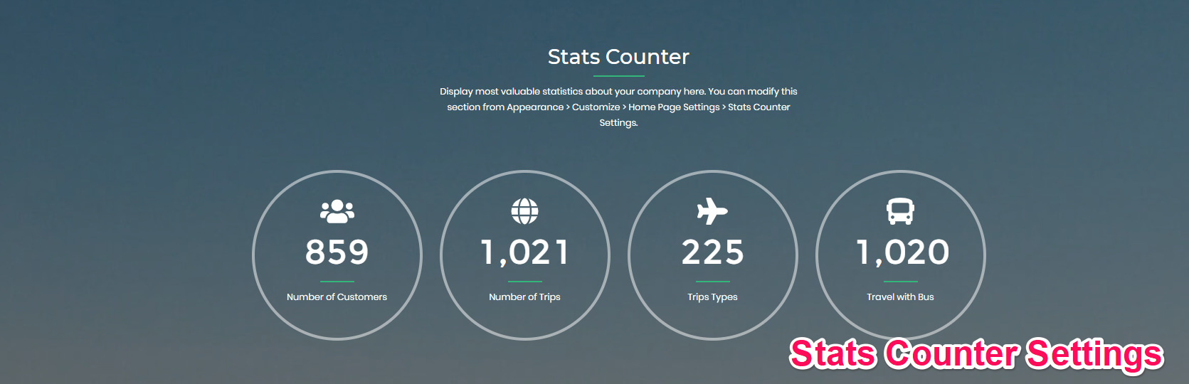 Stats Counter Settings travel agency