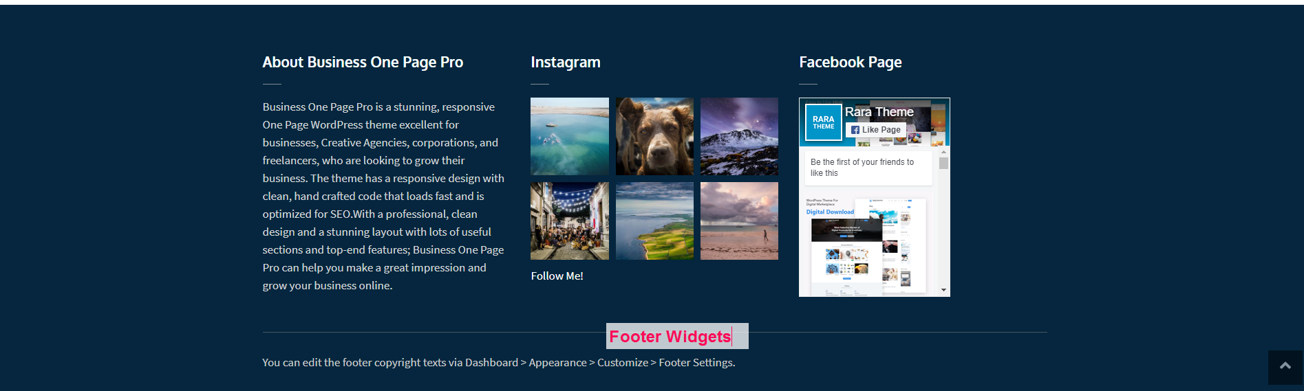 footer widgets for business one page pro