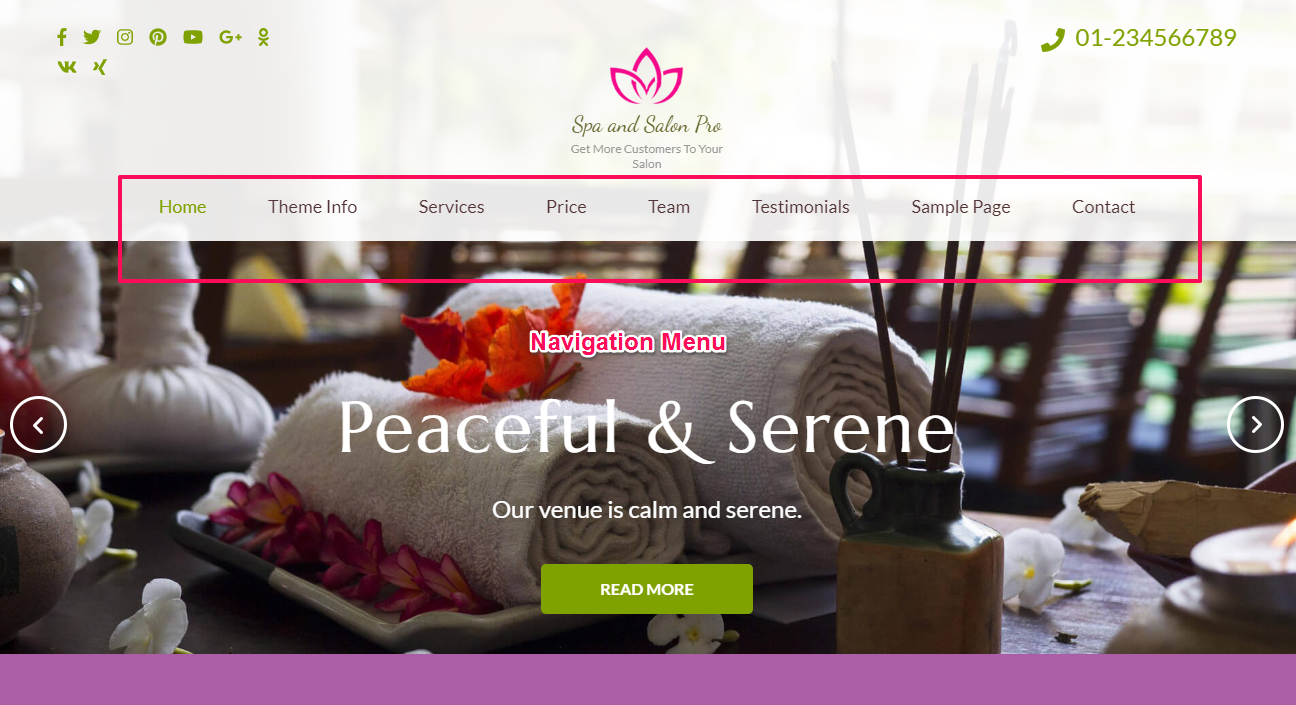 navigation menu spa and salon pro