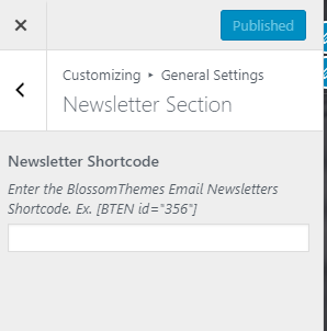 newsletter section for influencer