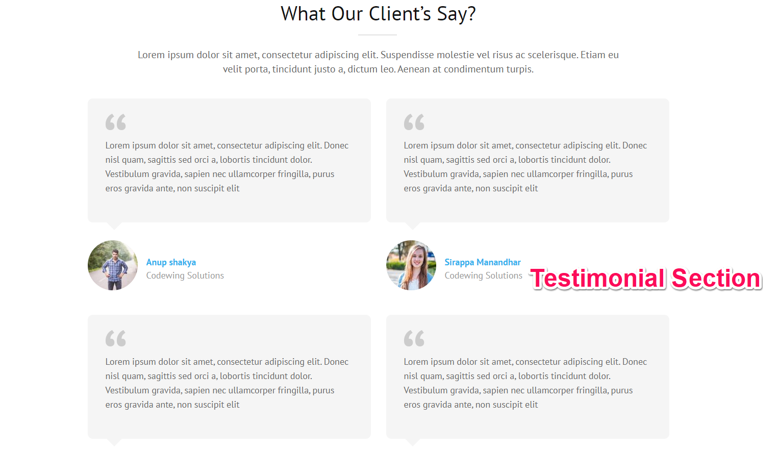 testimonial section for construction landing page